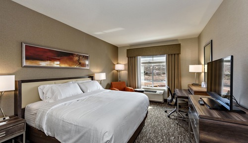 Standard Room, 1 King Bed, Accessible (Hearing)