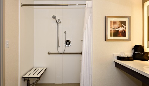 Standard Room, 1 King Bed, Accessible (Hearing, Roll-In Shower)