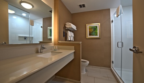 Room, 1 King Bed, Non Smoking (Hearing Accessible)