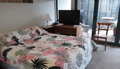Studio, 1 Queen Bed