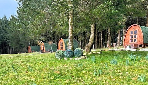 Basic Cabin, 1 Queen Bed, Shared Bathroom