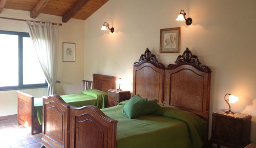 Comfort Triple Room
