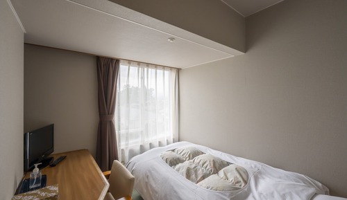 Single Room, Non Smoking