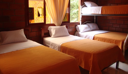 Triple Room, Garden View