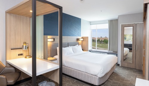 Suite, 1 King Bed with Sofa bed, Non Smoking (Mobility Accessible, Roll-in Shower)