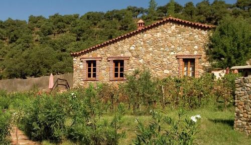 One-Bedroom Holiday Home