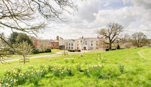 King Room with Lake View