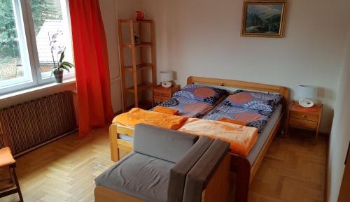 Double Room with Mountain View