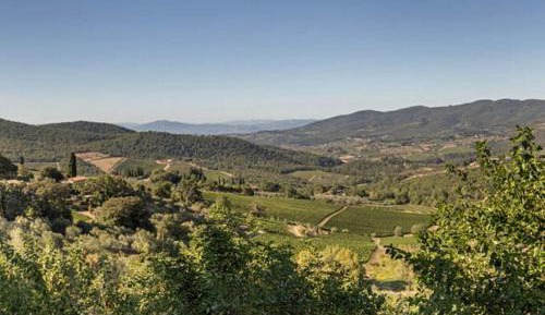 Apartment with Terrace