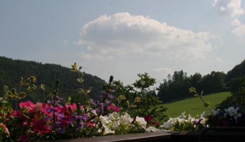 Single Room with Balcony