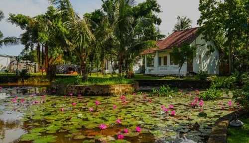 Bungalow with Garden View