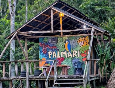 Mixed Dormitory Room