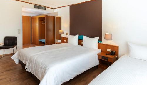 Business Triple Room