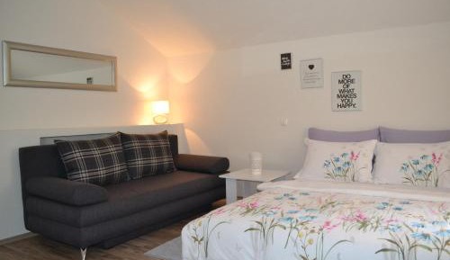 Studio with Sofa Bed