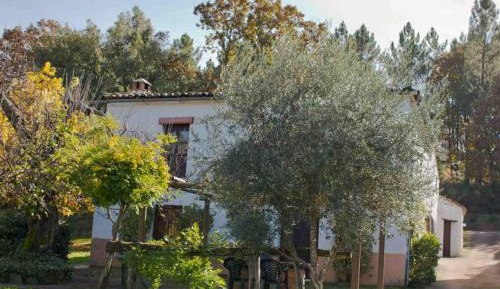 Two-Bedroom Superior Apartment