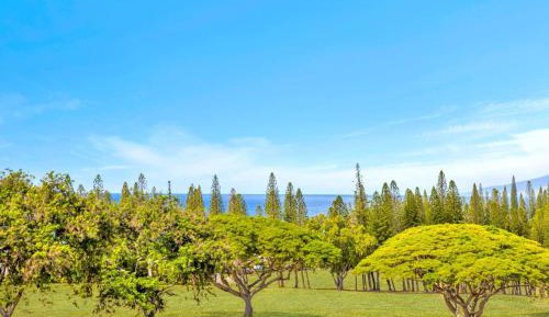 Five-Bedroom Apartment
