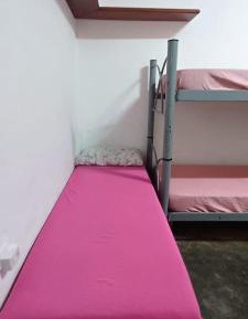 Single Bed in Female Dormitory Room
