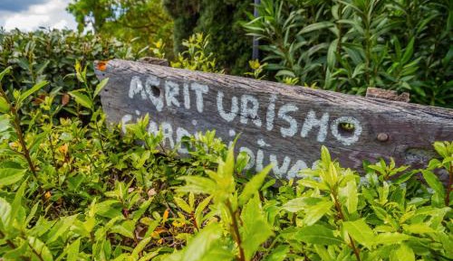Superior One-Bedroom Apartment