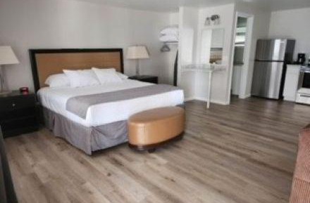 King Studio with Sofa Bed