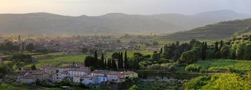 One-Bedroom Apartment - Separate Building