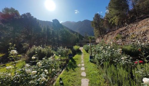 Deluxe Double or Twin Room with Balcony