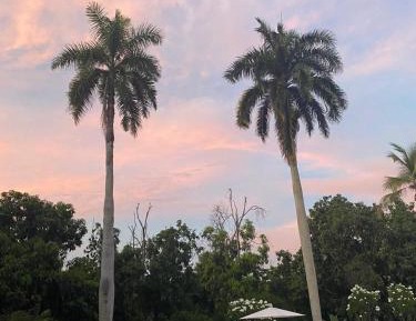 Deluxe Room (2 Adults + 1 Child)