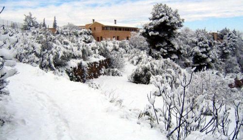 Two-Bedroom Apartment with Patio