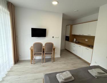 One-Bedroom Apartment with Balcony