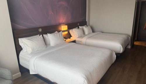 Premier Queen Room with Two Queen Beds - Non-Smoking