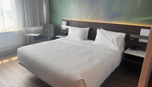 Premier King Room - Non-Smoking