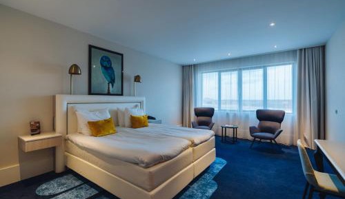 Deluxe Standard Room