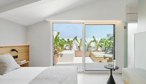 Superior Double or Twin Room with Terrace