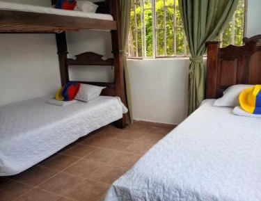 Bed in 4-Bed Mixed Dormitory Room