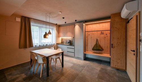 Large One-Bedroom Apartment