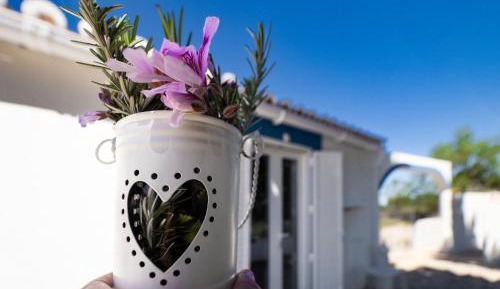 Deluxe Double or Twin Room with Garden View