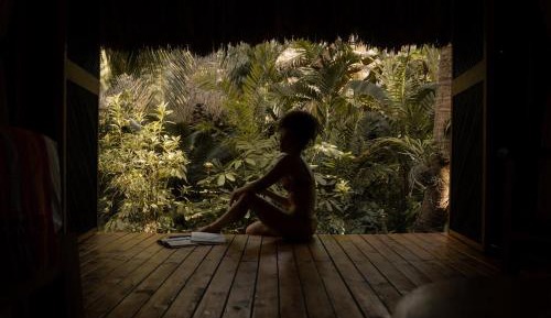 Family Room with Garden View