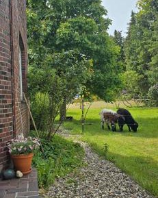 Two-Bedroom Superior Apartment