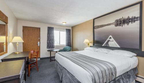 Business Queen Room - Non-Smoking