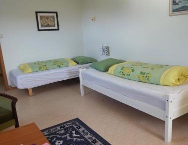 Twin Room with Private Bathroom