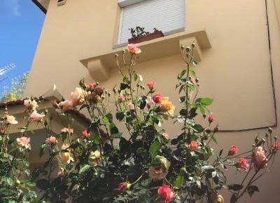 Villa with Garden View