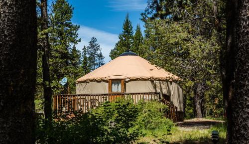 Studio Yurt