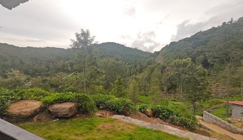 Double Room with Mountain View