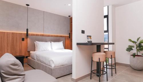 One-bedroom Loft Apartment 