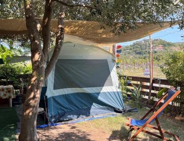 Tent