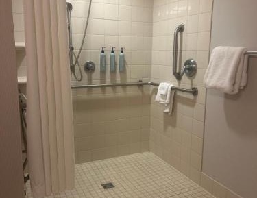 King Room with Sofa Bed and Roll-in Shower - Mobility and Hearing Accessible