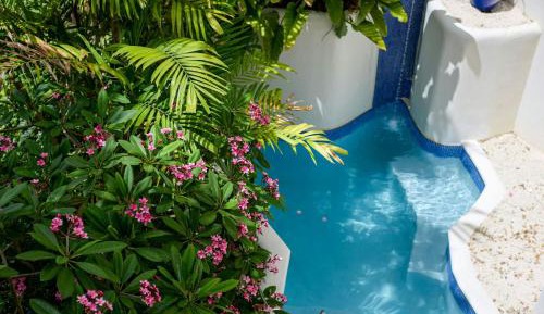  Luxury Garden View, All-Inclusive Adults Only, 1 King , Plunge Pool