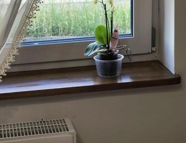 One-Bedroom Premium Apartment