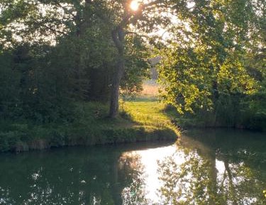 Double Room with Garden View