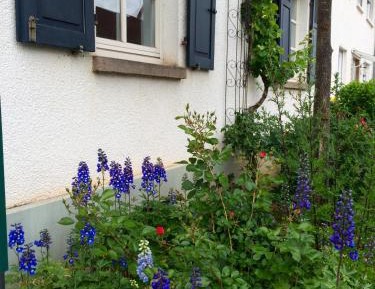 Apartment with Garden View