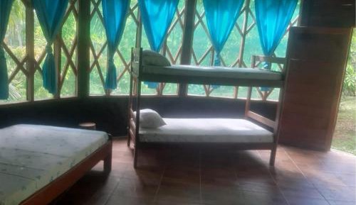 4-Bed Male Dormitory Room 